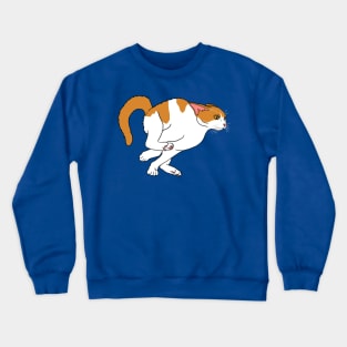 Running Hyperactive Orange and White Cat Crewneck Sweatshirt